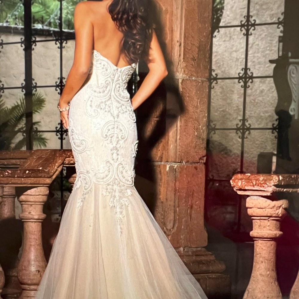 NWT Christiano Lucci Wedding Dress - Picture 2 of 11